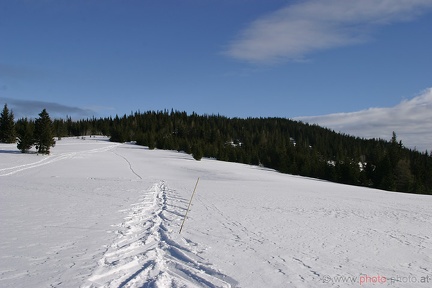 Schneeschuhwandern (20090104 0037)